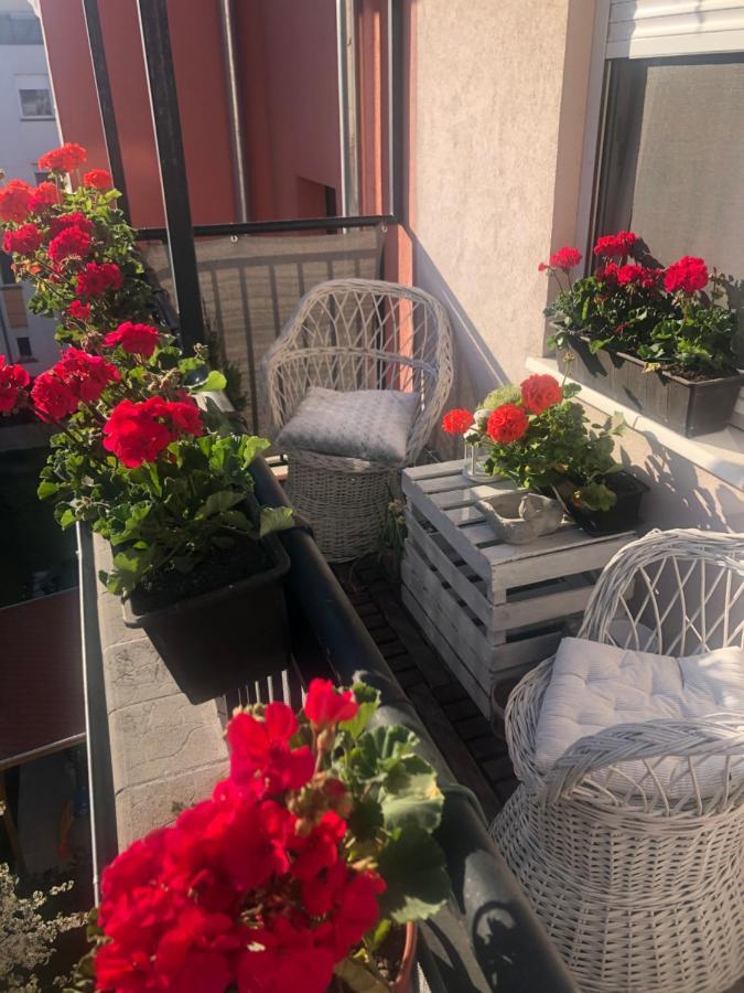 Barbara'S Apartment 부다페스트 외부 사진